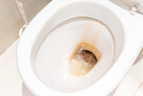 Can You Pour Bleach Down Toilet?