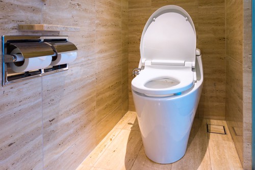 How Often Should You Change Your Toilet Bowl?