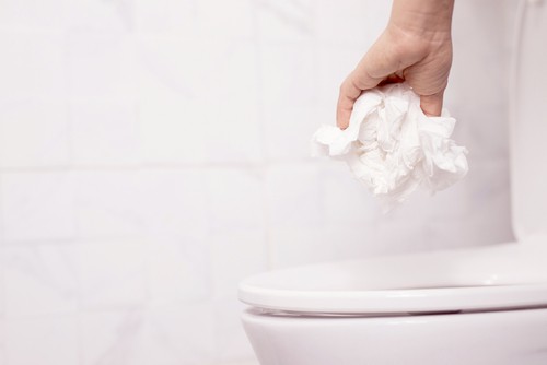 What To Do If Toilet Paper Clogs The Toilet?