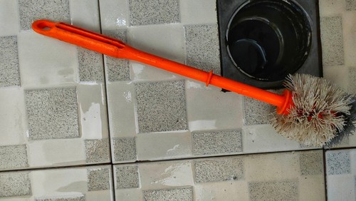 Does Drain Flies in Bathroom Mean Bad Plumbing?