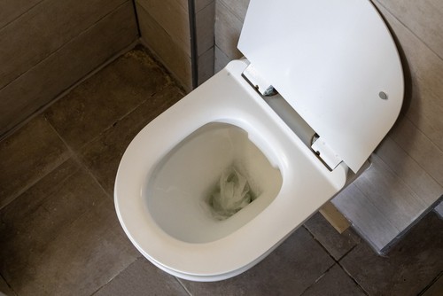 Will A Toilet Unclog Itself?